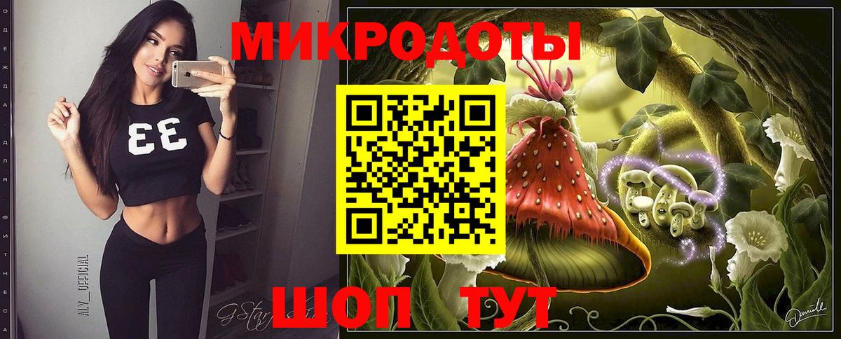 Псилоцибиновые грибы Psilocybine cubensis Корсаков