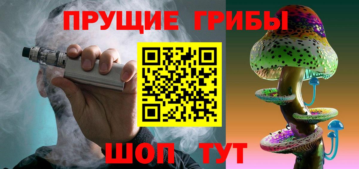 Корсаков  Галлюциногенные грибы прущие грибы  Вход с VPN 